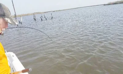 Port Sulphur Report Video 0