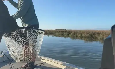 St. Augustine Report Video 0