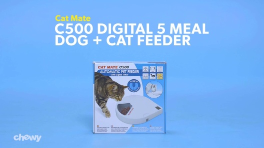 ideologie spoel Absoluut CAT MATE C500 Digital 5 Meal Automatic Dog & Cat Feeder - Chewy.com
