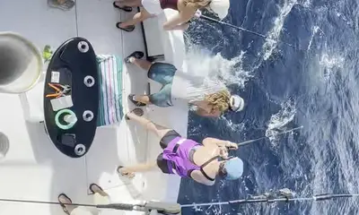 Fort Lauderdale Report Video 1