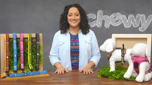 Play Video: Learn More About Chai's Choice From Our Team of Experts