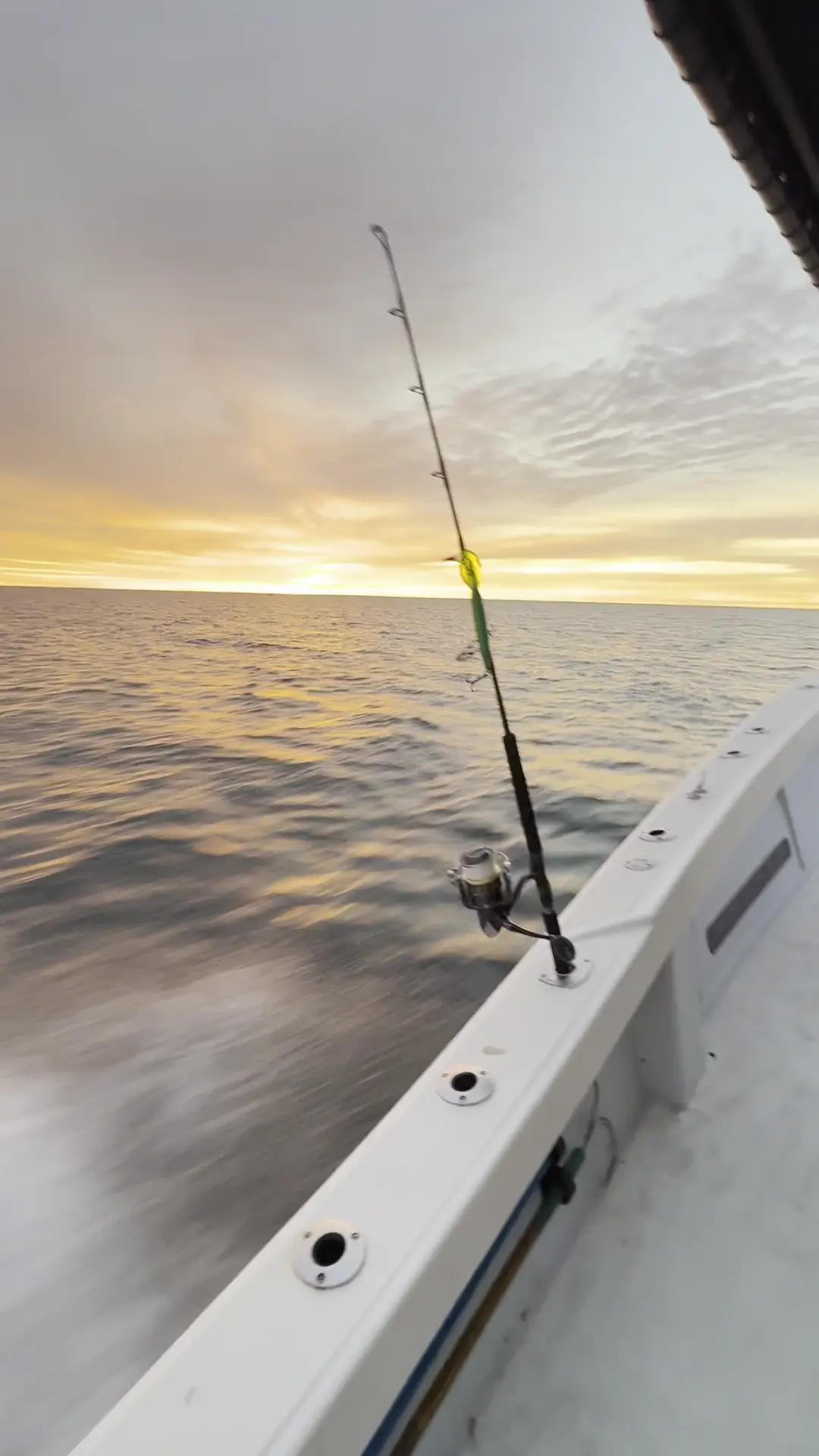 Business Card: Bay State Sportfishing