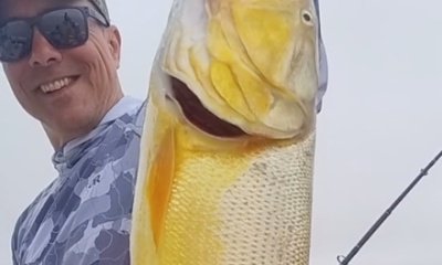 Tigre Video Report 1