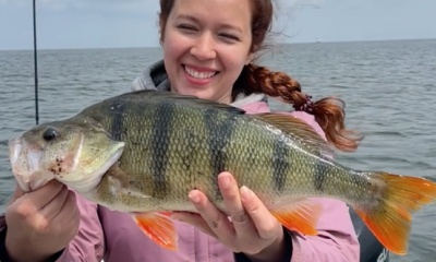 Rhine River Report Video 3