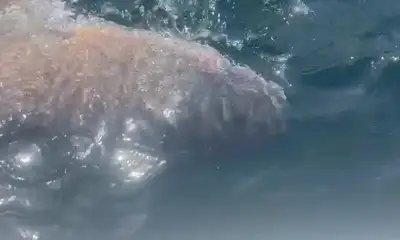 Amazing fishing experiance!