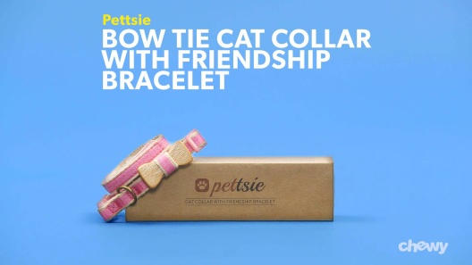 Play Video: Learn More About Pettsie From Our Team of Experts
