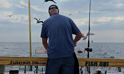 Steelhead, Chinook, and 1 Lake Trout