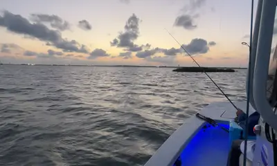 Port Aransas Report Video 0