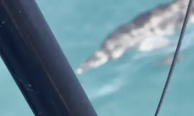 great boat, great people