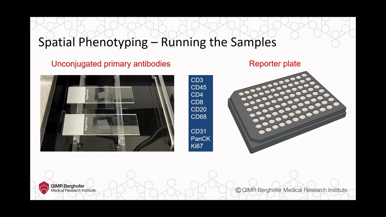 simoa-assay-kits