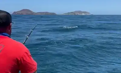 Bahía de los Ángeles Report Video 0