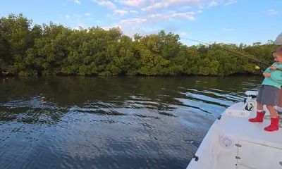 Tampa Report Video 2