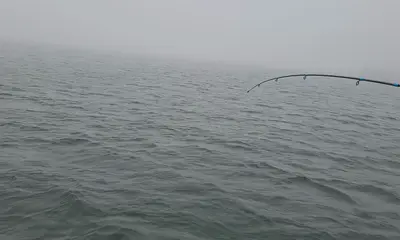 Halifax River Report Video 1