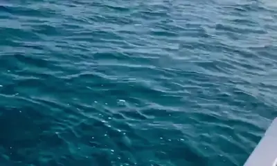San Jose del Cabo Report Video 0