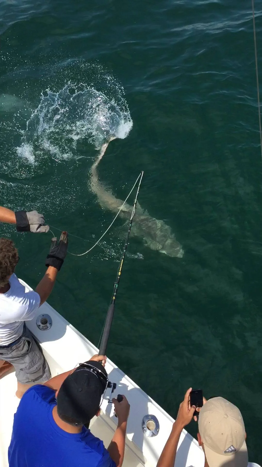 Business Card: Reel Naughty Sportfishing