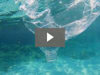 Video for Reusable  Swab
