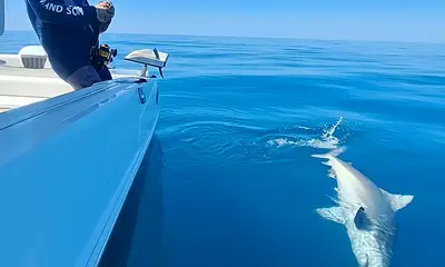 Sarasota Report Video 0