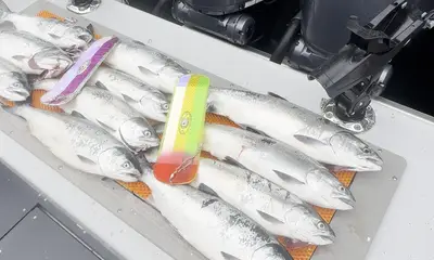Edmonds Report Video 0