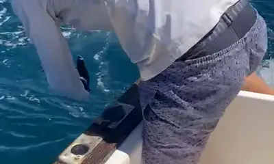 Tavira Видео отчет 0