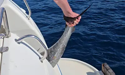 Croatia Report Video 1