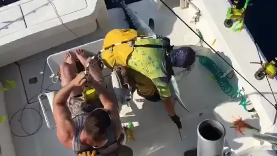Business Card: Reel Sportfishing Charters