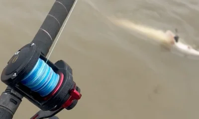 Pittsburg Report Video 0