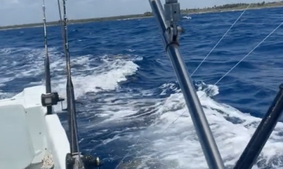 Awesome Captain & First Mate