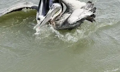 Best fishing trip ever!