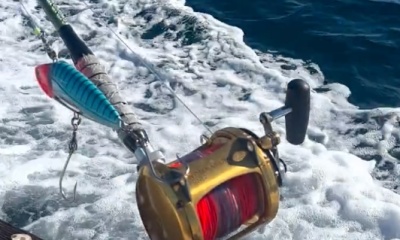 Tavira Video Report 2