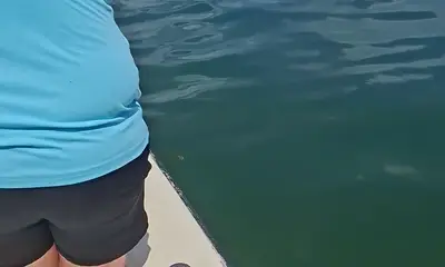 Reporte de Cayman Islands Video 2