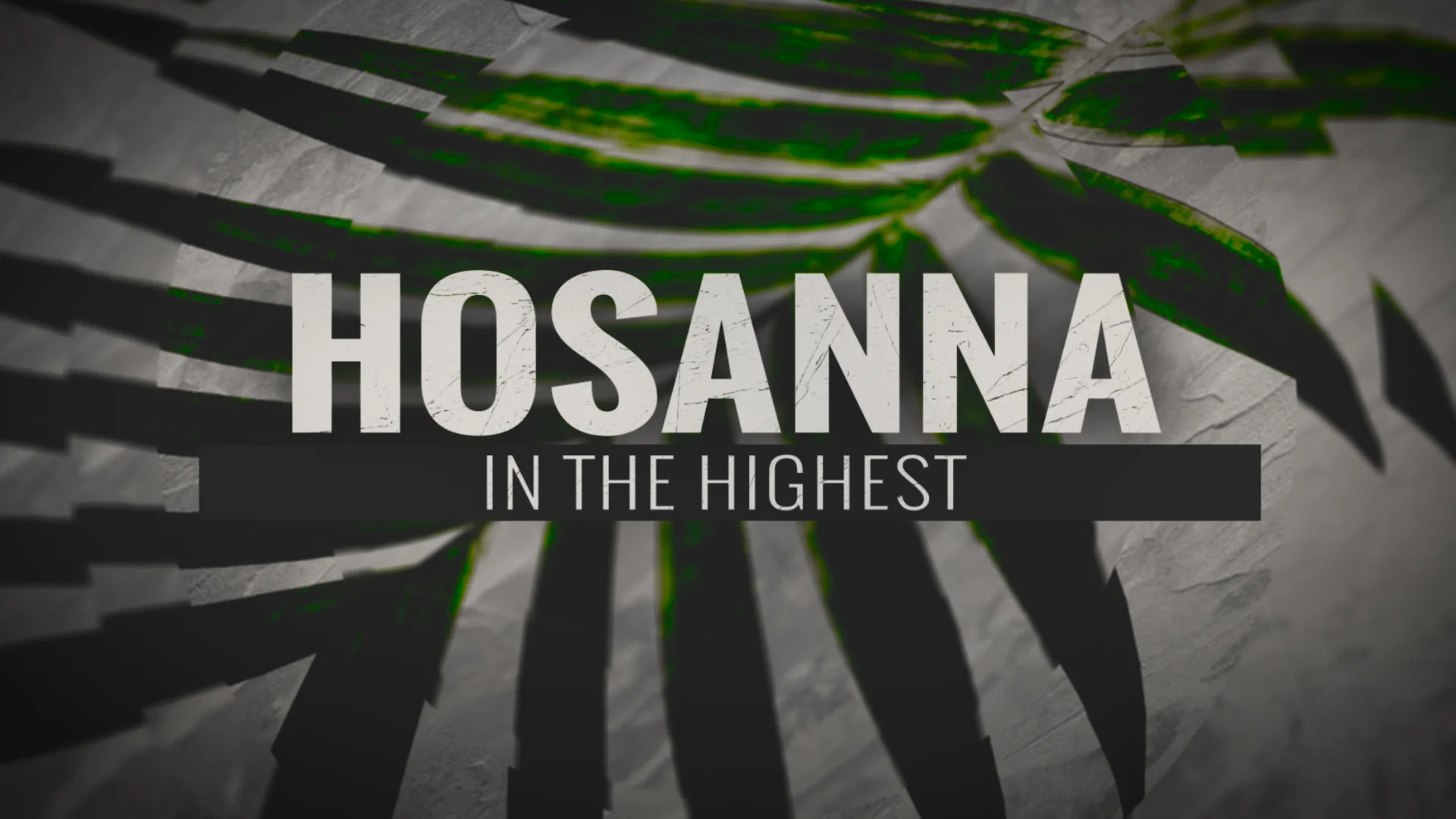 Hosanna - Motion Background for Palm Sunday – Beamer Films