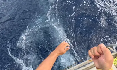 Haleiwa Report Video 0
