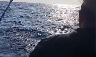 Reporte de Playa Del Carmen Video 0