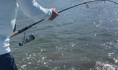 Fun family afternoon in Estero Bay