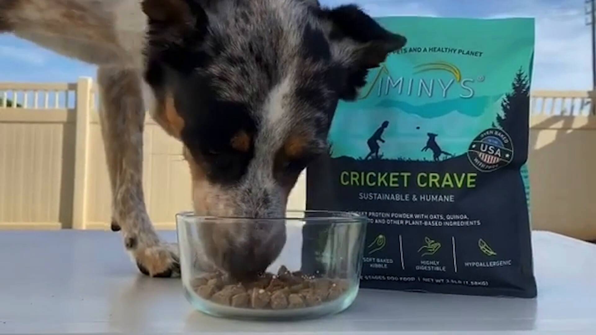 cricket based dog food