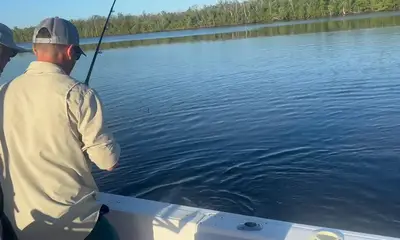 Marco Island Report Video 0