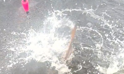 Steinhatchee Report Video 0