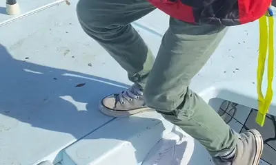 Folly Beach Report Video 0