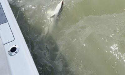 July Fishing Trip