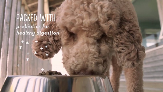 Supreme Source Grain-Free Pork, Peas & Wild Boar Recipe Dry Dog Food