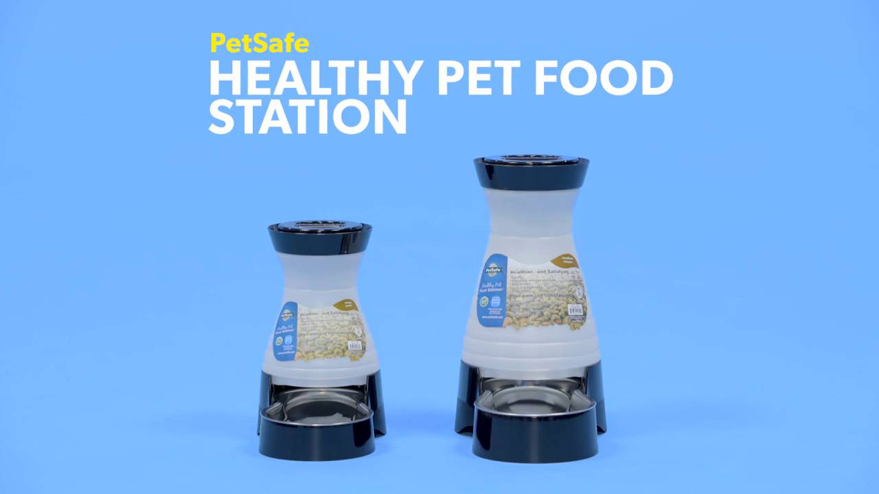 PetSafe Healthy Pet Water Station Dog and Cat Water System with Stainless Steel Bowl 