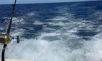 Nice boat, great crew