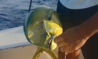 Oranjestad Report Video 0