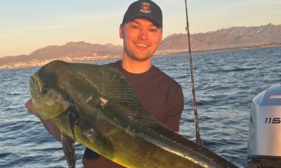 San Jose del Cabo Report Video 0