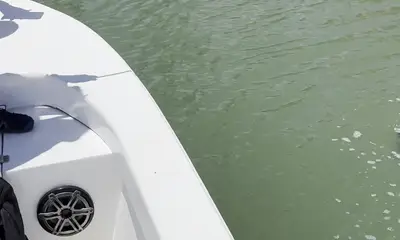 Caught a lot with my son on Father\u2019s Day
