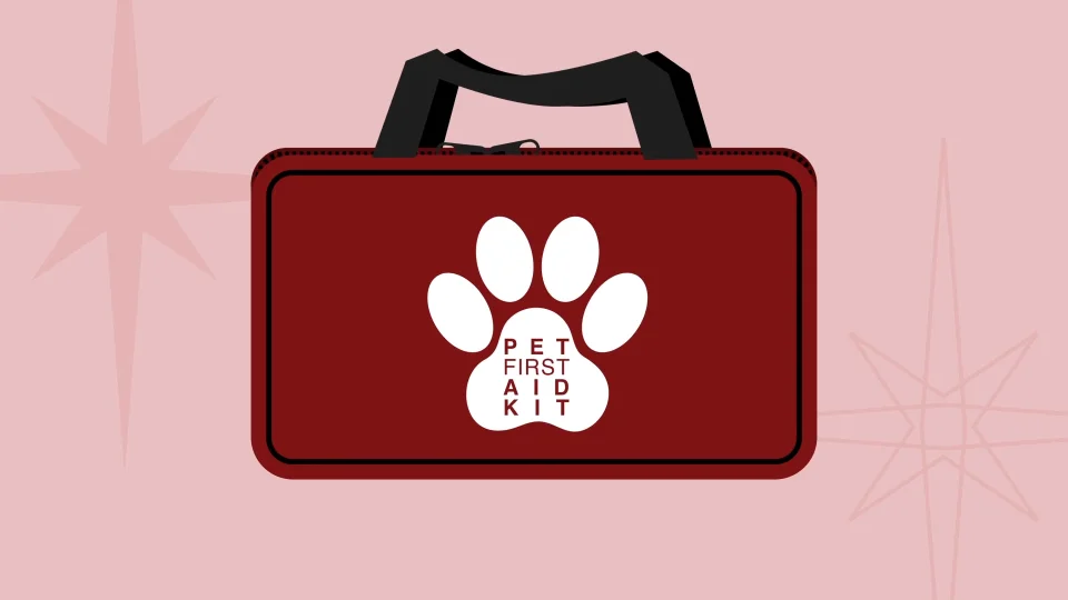 Pet First Aid Kits | Centreville Square Animal Hospital | Veterinary