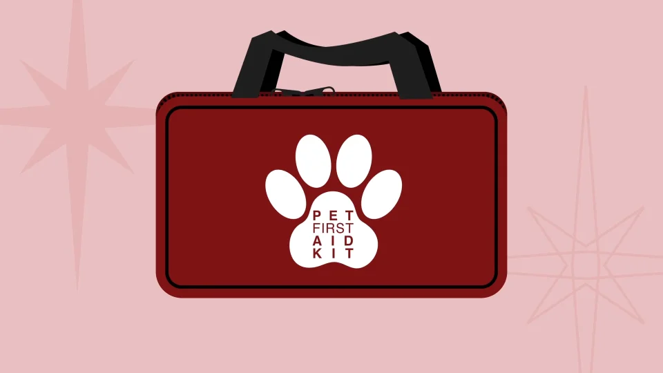 Pet First Aid Kits | Centreville Square Animal Hospital | Veterinary Pet First Aid Kits | Centreville Square Animal Hospital | Veterinary