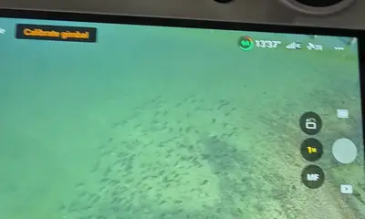 Hilton Head Island Report Video 1