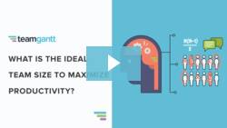 What is the Ideal Team Size to Maximize Productivity?