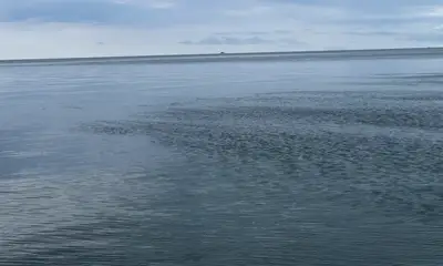 Homestead Report Video 2